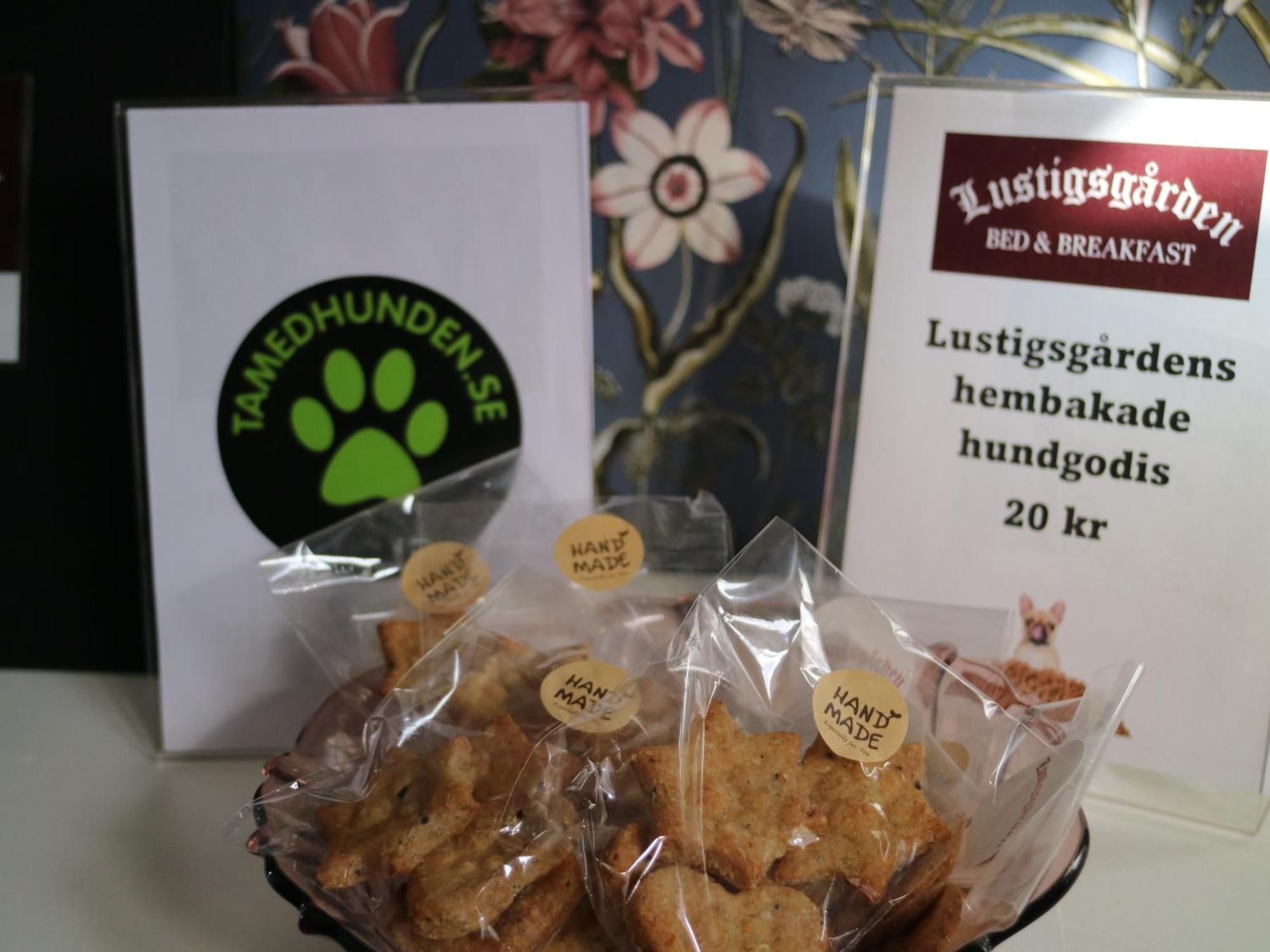 Lustigsgarden Boutique Hotel Rattvik Ngoại thất bức ảnh